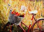 Early Summer by Alexey Slusar